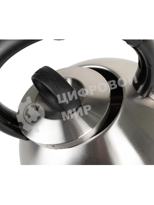 Чайник металлический Rondell 0237-RD-01, 2.4 л, стальной