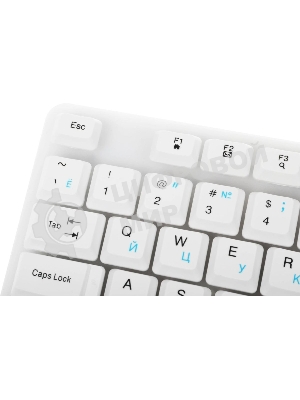 Клавиатура проводная Defender GK-172, USB, белый