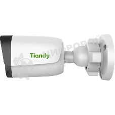 Камера видеонаблюдения Tiandy TC-C34QN 2GNA-28
