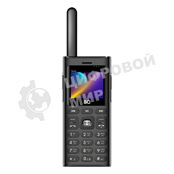 Мобильный телефон BQ 2010 Talkie черный