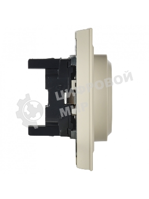 Розетка 2-местная IEK BRITE РС12-3-БрКр (BR-R21-16-K10-F) с заземлением, без защитных шторок, 16А в сборе, бежевый