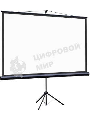 Экран на штативе Lumien Eco View 130x227см (раб.область124х221 см) (100