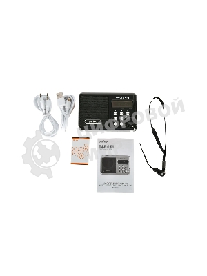 Радиоприемник PERFEO (PF_D0564) Sound, черный