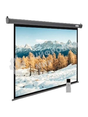 Экран для проектора Cactus SIlverMotoExpert CS-PSSME-300X188-DG, 139 