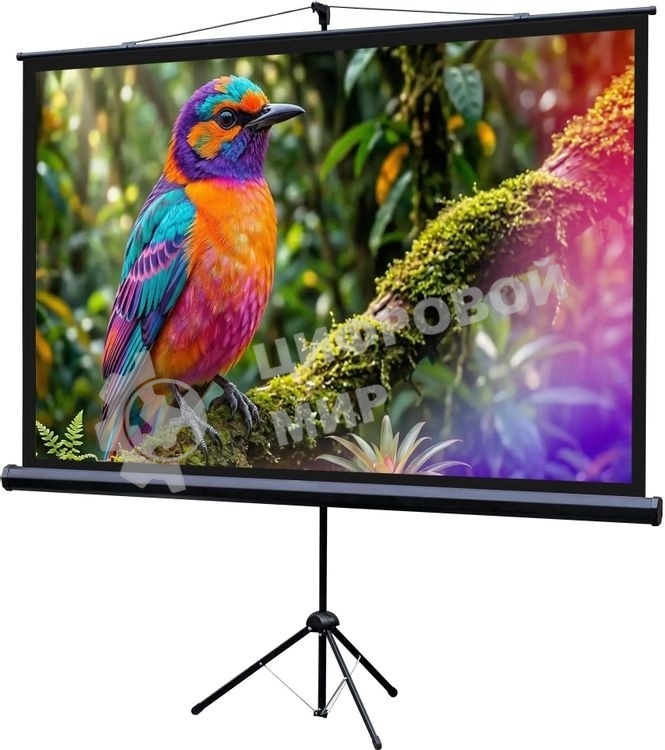 Экран на штативе Lumien Eco View 130x227см (раб.область124х221 см) (100