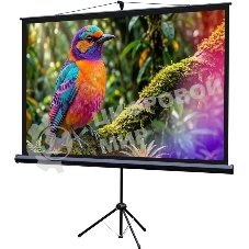 Экран на штативе Lumien Eco View 130x227см (раб.область124х221 см) (100
