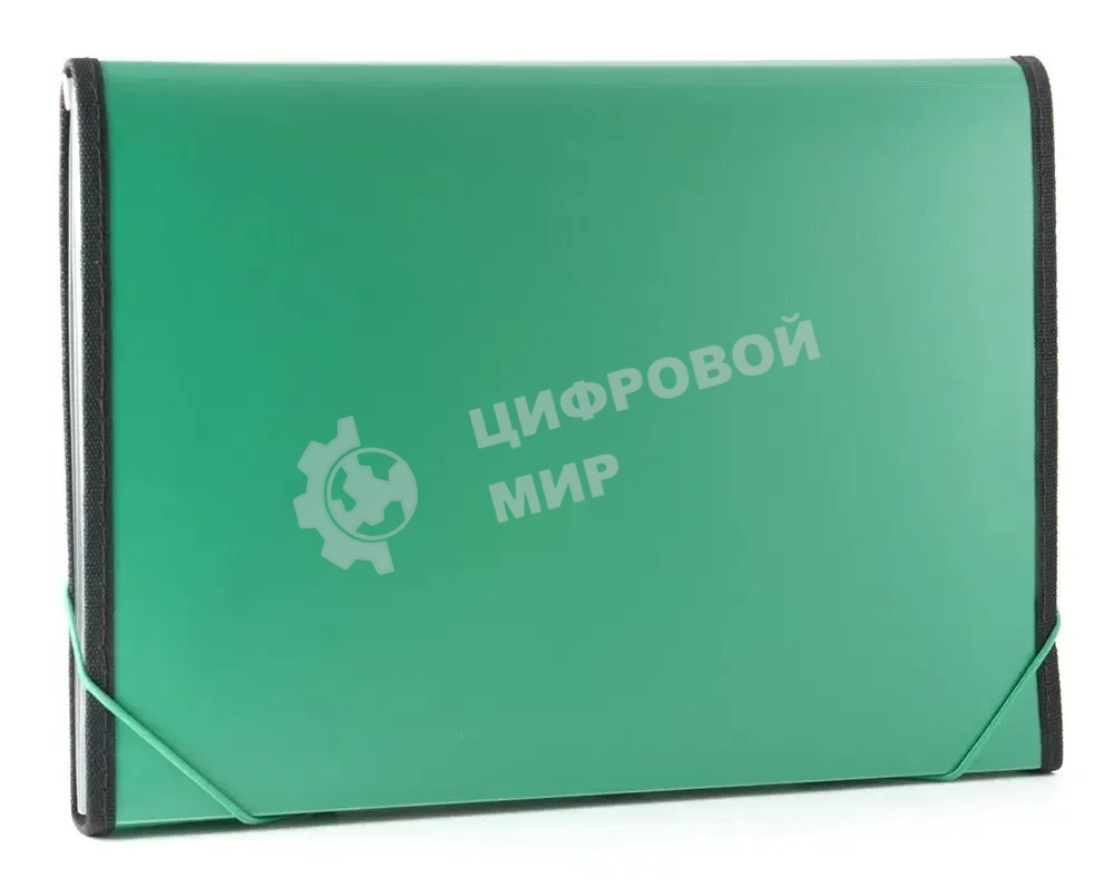 Папка на резинке Бюрократ -BPR13LGRN 13 отделений, A4 с окантовкой, пластик, 0.7мм, зеленый