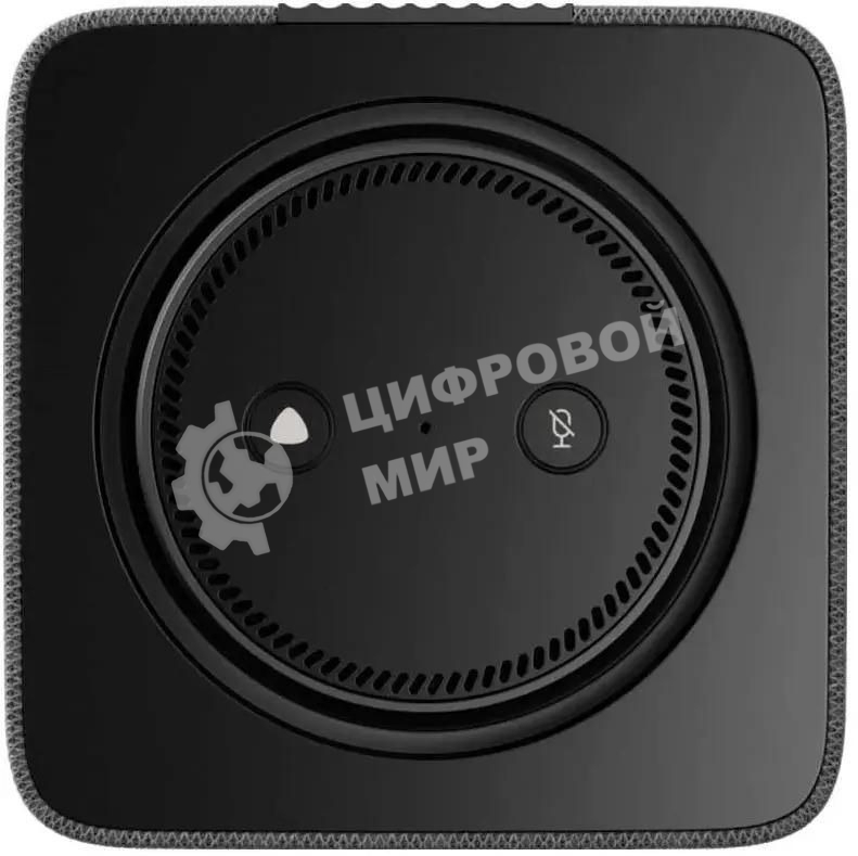 Умная колонка Яндекс Станция Макс, Zigbee, 65Вт, с голосовым ассистентом Алиса на YaGPT, графит