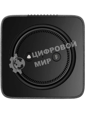 Умная колонка Яндекс Станция Макс, 65Вт, с экраном, 1 динамик, часы, Алиса, Wi-Fi, Bluetooth 5.0, Zigbee, графит