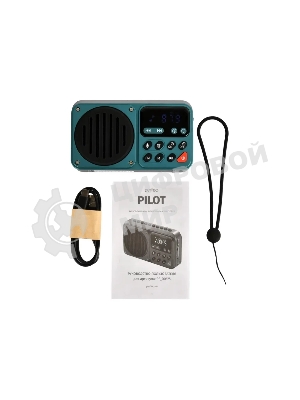 Радиоприемник PERFEO (PF_D0575) PILOT , серый