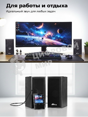 Портативная колонка Ritmix SP-3035W