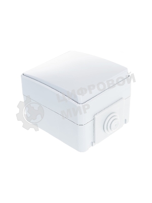 Выключатель ЭРА 11-1601-03 IP65, 10АХ-250В, ОУ, Эксперт, серый