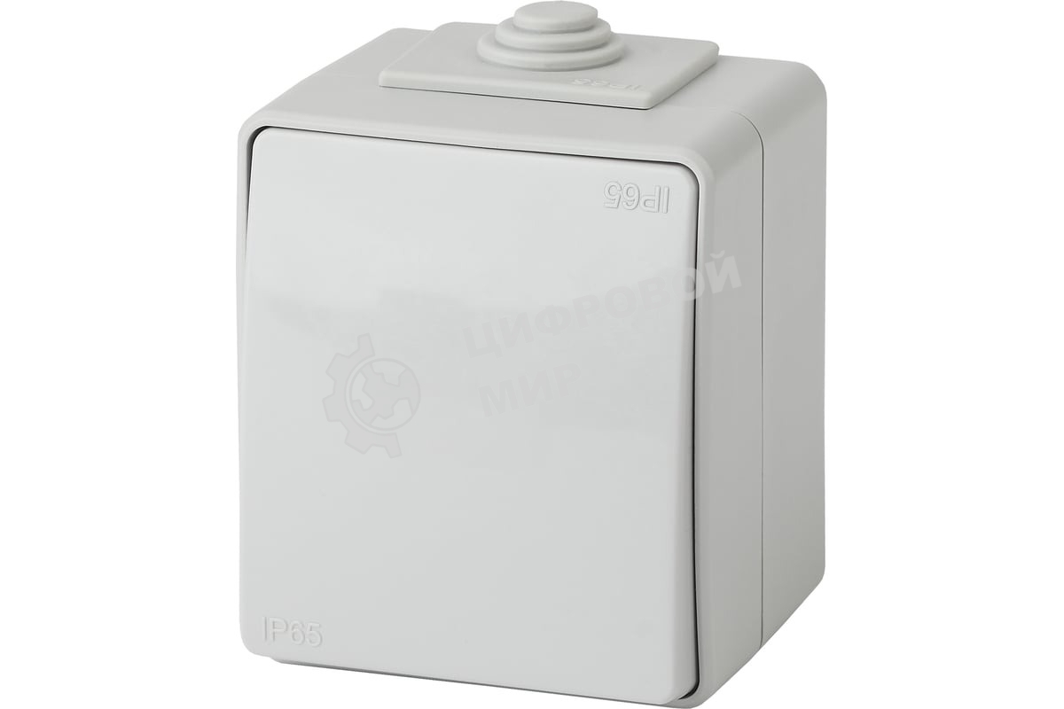 Выключатель ЭРА 11-1601-03 IP65, 10АХ-250В, ОУ, Эксперт, серый