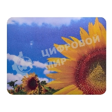 Коврик для мыши Buro BU-M20036 пластиковый, поле подсолнухов, 230х180х2мм