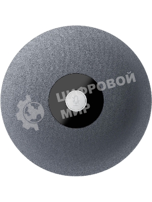 Микрофон Sber SDMIC-001