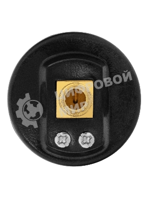 Воздушный манометр Denzel G10, 40 мм, 1/8