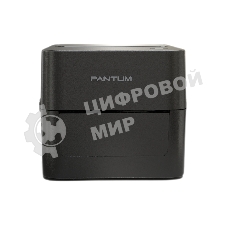 Принтер наклеек Pantum DT PT-D160 прямая термопечать, 203 dpi, 152 мм/сек, USB, черный