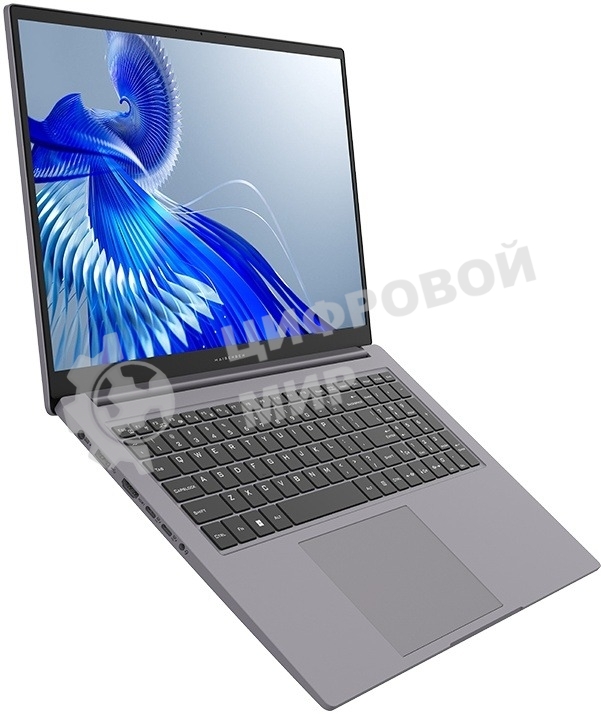 Ноутбук Maibenben P725 серый 17,3