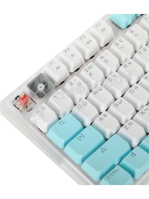 Клавиатура проводная A4Tech Bloody S510N USB белый