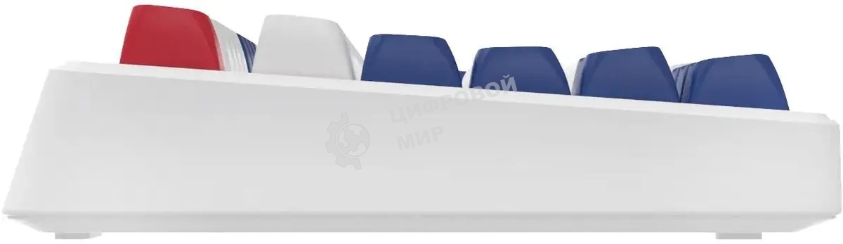 Клавиатура Oklick 725G проводная, USB Type-A, белый/красный