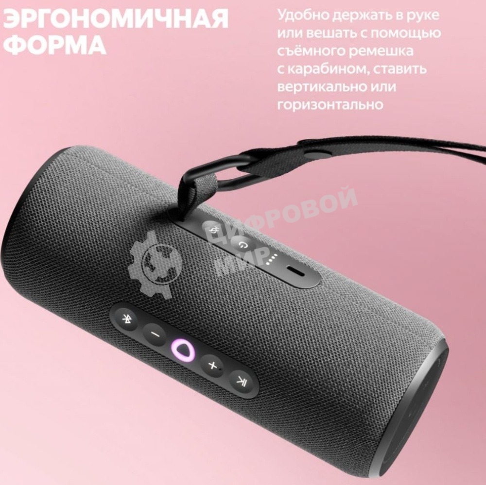 Умная колонка Яндекс Станция Стрит с Алисой, портативная, модель YNDX-00030GRY (серый)