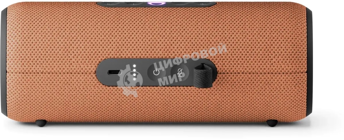 Умная колонка Yandex Стрит Алиса оранжевый 30W 2.0 BT/Wi-Fi 10м 3300mAh (YNDX-00030ORG)