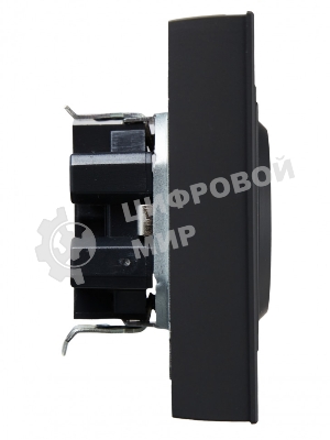 Розетка 2-местная IEK BRITE РС12-3-БрГ с заземлением, без защитных шторок, 16А в сборе, графит