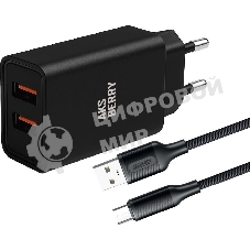 Сетевое зарядное устройство AKSBERRY (6900209220015) T38 2 USB 2.4A + кабель MicroUSB, черный