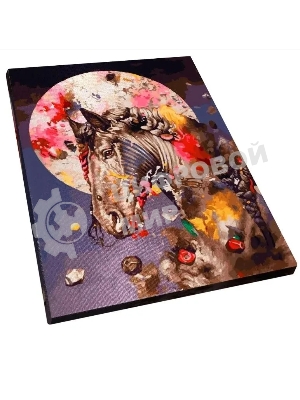 Картина по номерам БЕЛОСНЕЖКА 1110-AS Интуиция