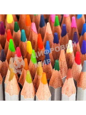 Карандаши цветные Deli Nuevo 6523, липа, 48 цветов, коробка металлическая