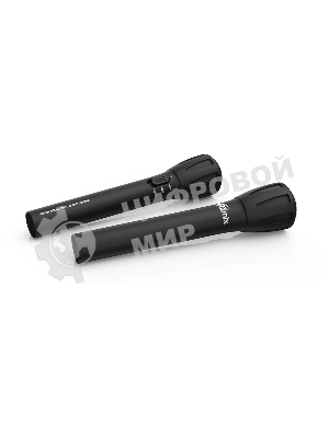 Микрофон Ritmix RWM-302 черный