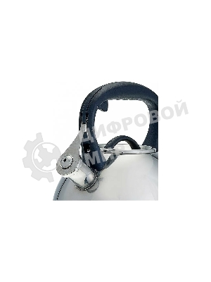 Чайник для плиты ALPENKOK AK-516 нерж.сталь со свистком 3,0л (12)