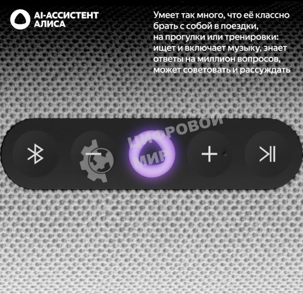 Умная колонка Яндекс Станция Стрит с Алисой, портативная, модель YNDX-00030GRY (серый)