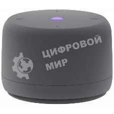 Умная колонка Яндекс Станция Лайт 2 с Алисой, без часов, 6 Вт, модель YNDX-00028 (серый)