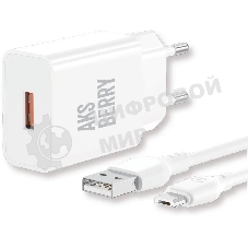 Сетевое зарядное устройство AKSBERRY (6972969383071) T42 QC3.0 + кабель MicroUSB, белый
