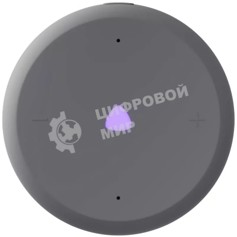 Умная колонка Яндекс Станция Лайт 2 с Алисой, без часов, 6 Вт, модель YNDX-00028 (серый)