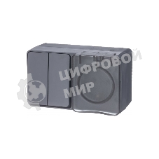 Блок ОП AtlasDesign Profi54 розетка 16А 250В с заземл. защ. шторки + 2-кл. выключатель 10А IP54 антрацит SchE