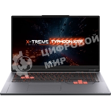 Ноутбук Maibenben X17F-R77435/17.3