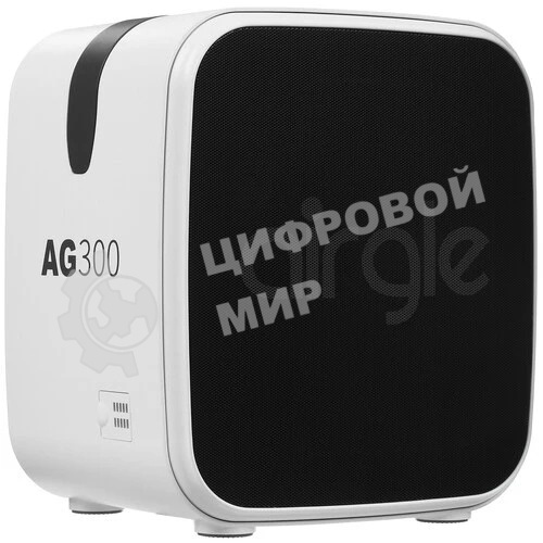 Очиститель воздуха Airgle AG300