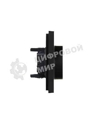 Розетка 2-м СП FORTE&PIANO FP124 16А с заземл. без защ. шторок безвинт. крепл. черный IEK FP-R21-16-1-K02