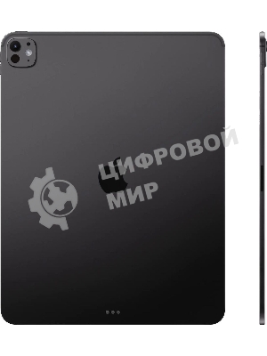 Планшет Apple iPad Pro 2025 A3360 13