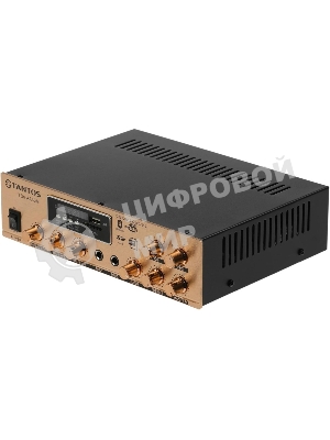 Усилитель Tantos TSo-AA30M выход 100Вт/30Вт