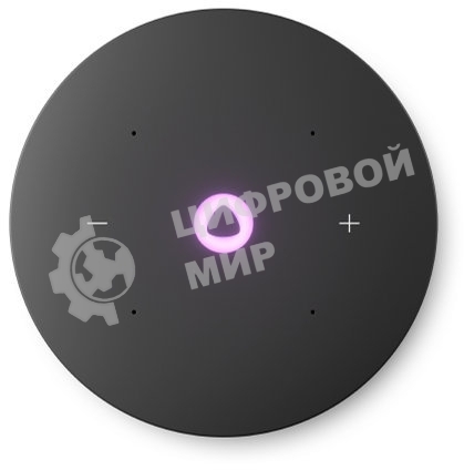 Умная колонка Яндекс Станция Мини 3 Про, Zigbee, модель YNDX-00059GRN (зеленый)