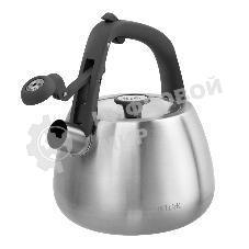 Чайник для плиты TALLER TR-11372 Рейнард 2,2 л