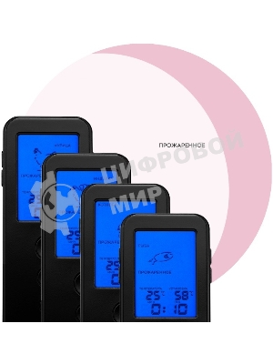 Термощуп Kitfort КТ-2067 черный