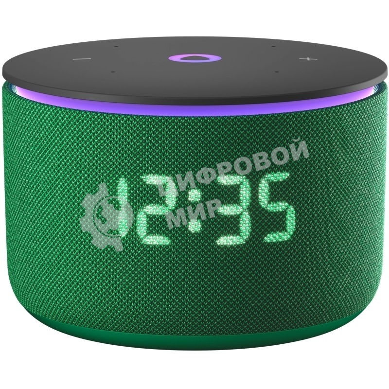 Умная колонка Яндекс Станция Мини 3 Про, Zigbee, модель YNDX-00059GRN (зеленый)