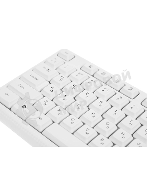 Комплект клавиатура+мышь Defender Motion C-977 проводной, USB, 1600 DPI, белый