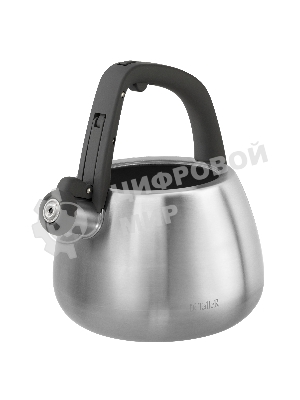 Чайник для плиты TALLER TR-11372 Рейнард 2,2 л