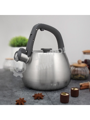 Чайник для плиты TALLER TR-11372 Рейнард 2,2 л