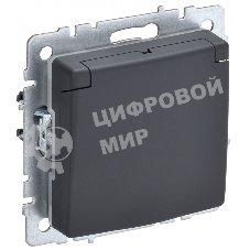 Розетка 1-местная IEK BRITE РСбш10-3-44-БрГ с заземлением, с защитными шторками и крышкой, 16А, IP44, графит